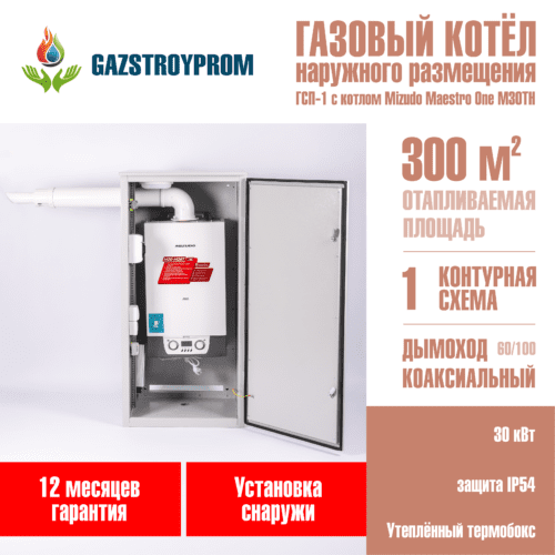 Mizudo Maestro One M30TH, одноконтурный, 30 кВт